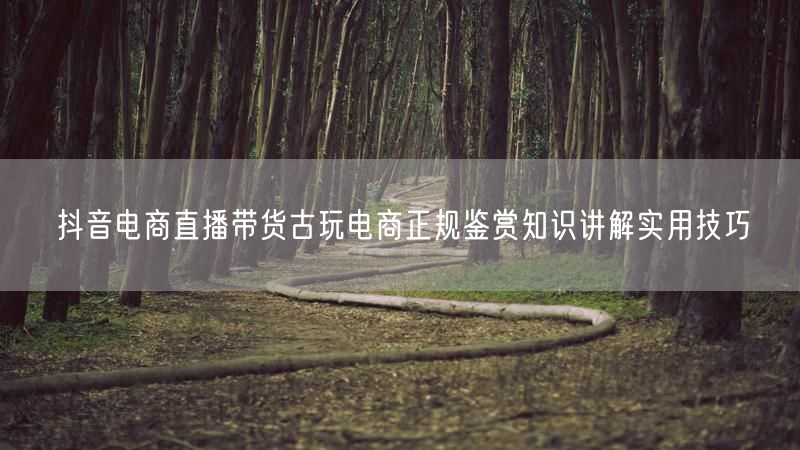 抖音电商直播带货古玩电商正规鉴赏知识讲解实用技巧