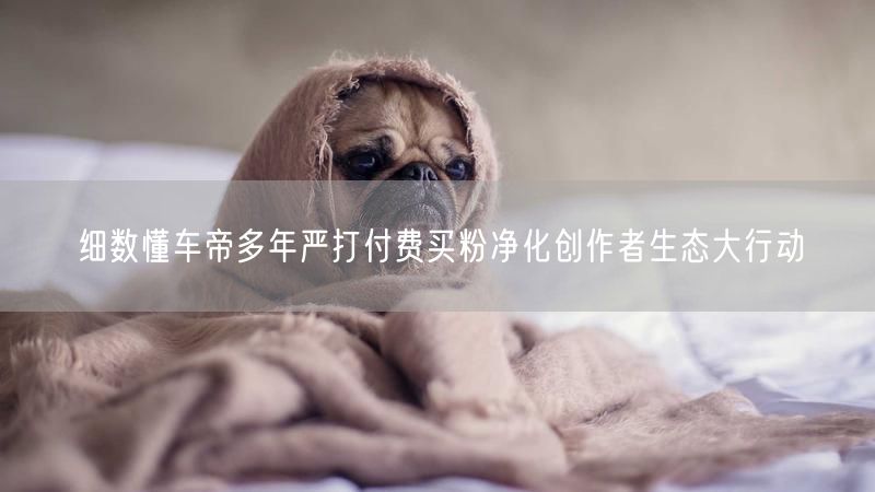 细数懂车帝多年严打付费买粉净化创作者生态大行动