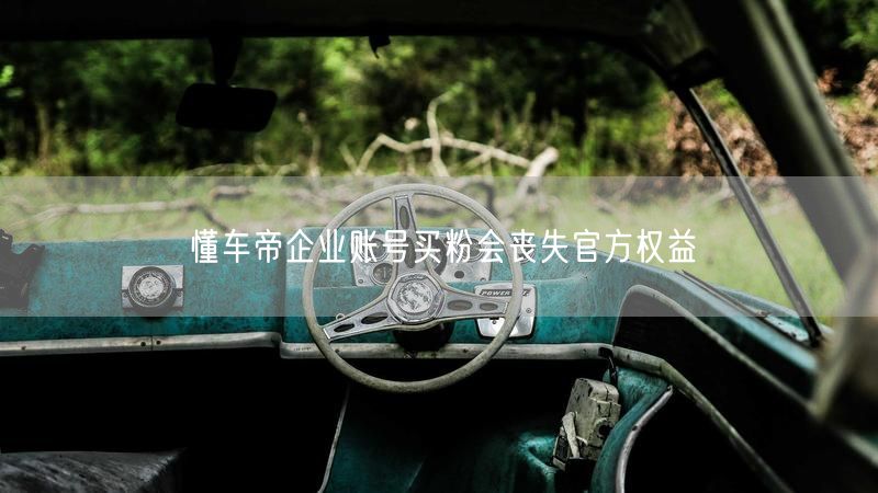 懂车帝企业账号买粉会丧失官方权益