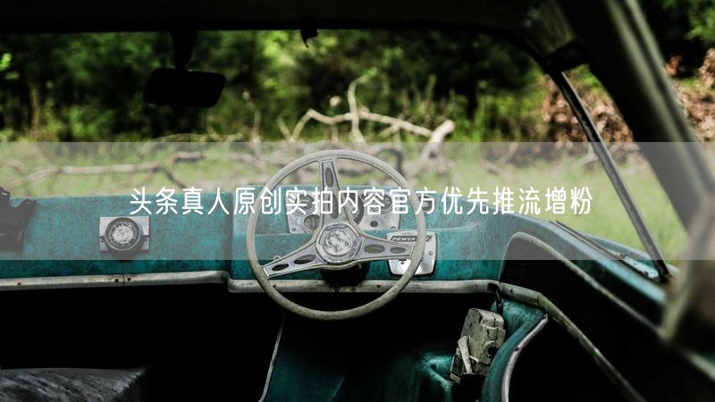 头条真人原创实拍内容官方优先推流增粉