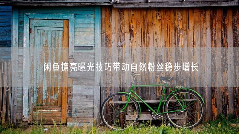 闲鱼擦亮曝光技巧带动自然粉丝稳步增长