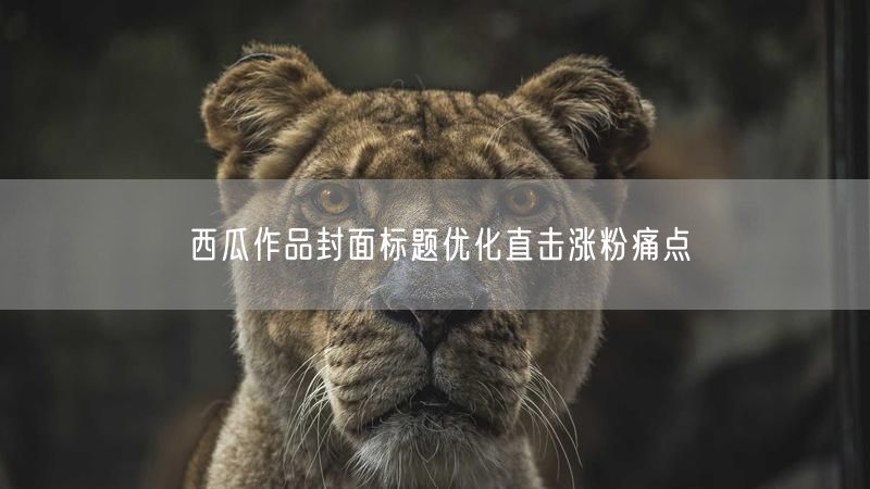 西瓜作品封面标题优化直击涨粉痛点