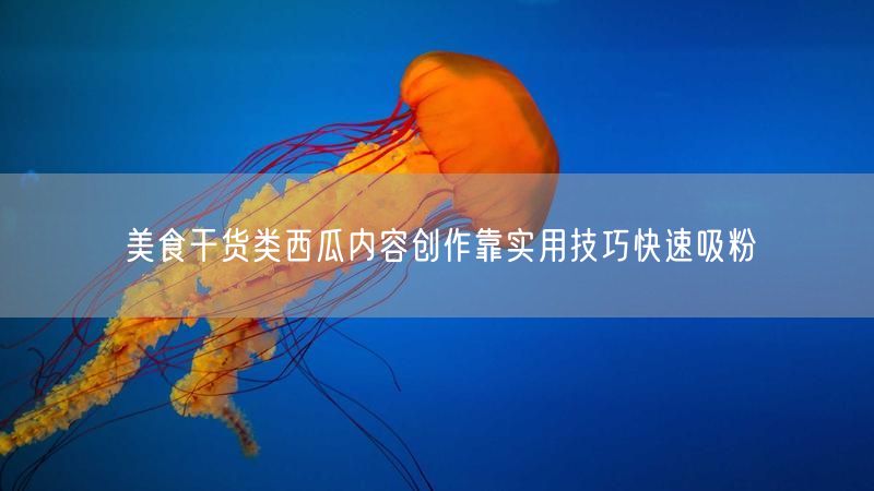 美食干货类西瓜内容创作靠实用技巧快速吸粉
