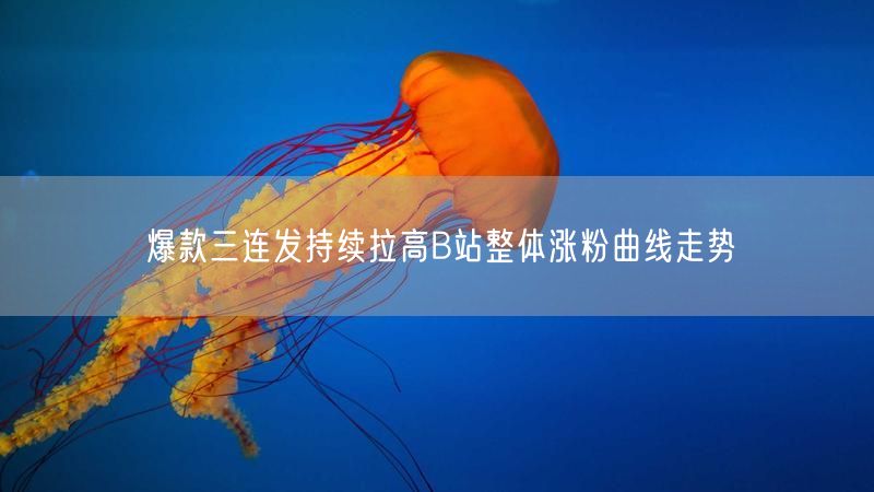 爆款三连发持续拉高B站整体涨粉曲线走势