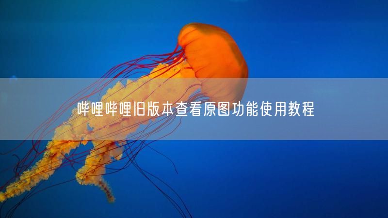 哔哩哔哩旧版本查看原图功能使用教程