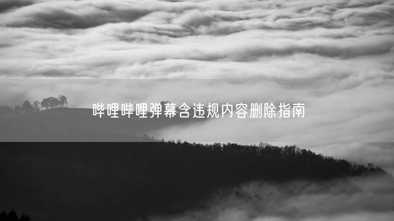 哔哩哔哩弹幕含违规内容删除指南