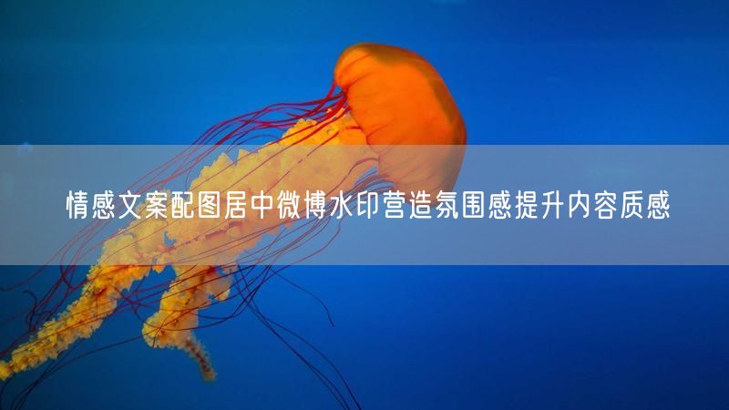 情感文案配图居中微博水印营造氛围感提升内容质感