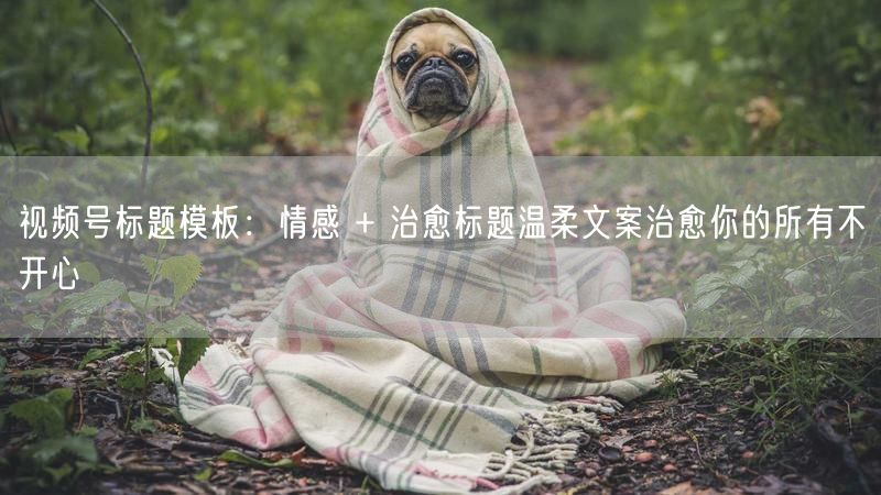 视频号标题模板：情感 + 治愈标题温柔文案治愈你的所有不开心