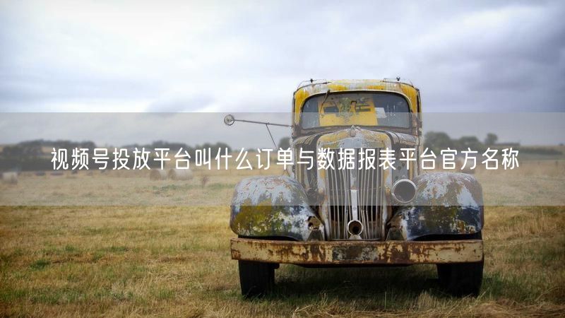 视频号投放平台叫什么订单与数据报表平台官方名称