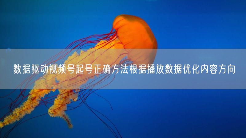 数据驱动视频号起号正确方法根据播放数据优化内容方向