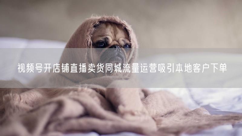 视频号开店铺直播卖货同城流量运营吸引本地客户下单