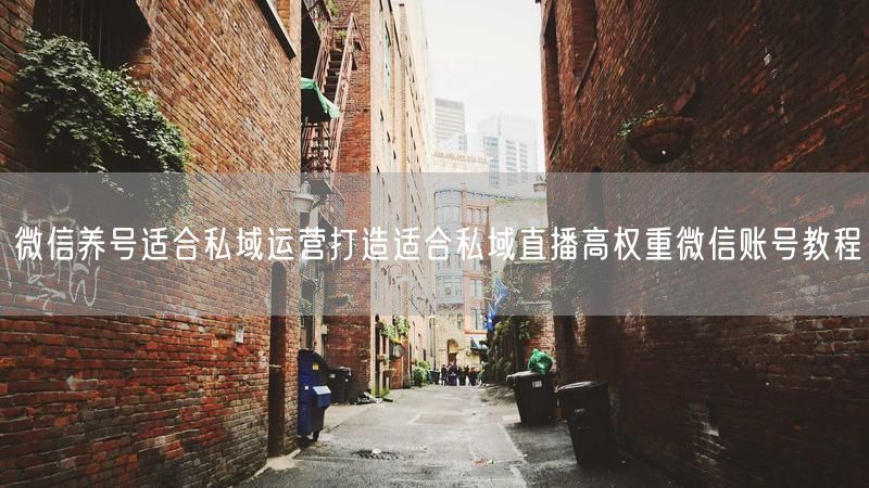 微信养号适合私域运营打造适合私域直播高权重微信账号教程