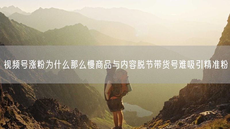 视频号涨粉为什么那么慢商品与内容脱节带货号难吸引精准粉