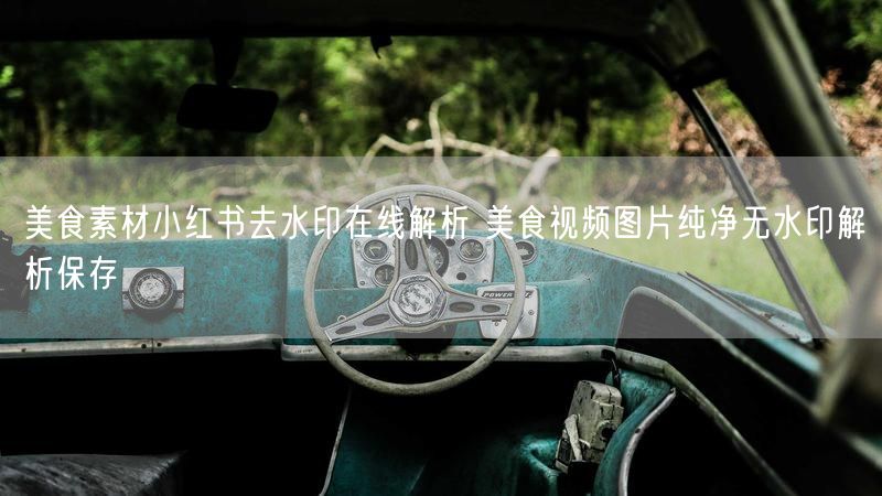 美食素材小红书去水印在线解析 美食视频图片纯净无水印解析保存