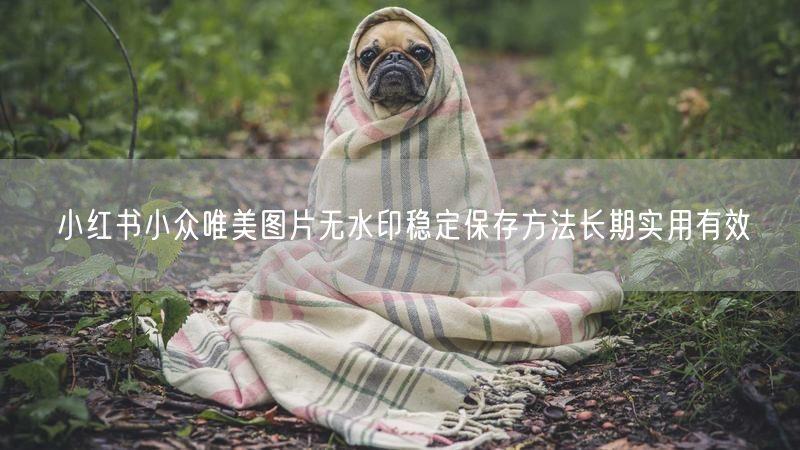 小红书小众唯美图片无水印稳定保存方法长期实用有效