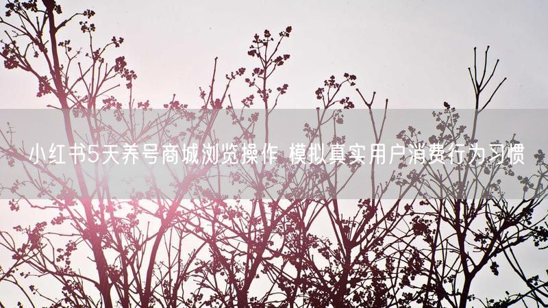 小红书5天养号商城浏览操作 模拟真实用户消费行为习惯