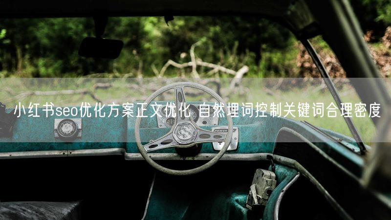 小红书seo优化方案正文优化 自然埋词控制关键词合理密度