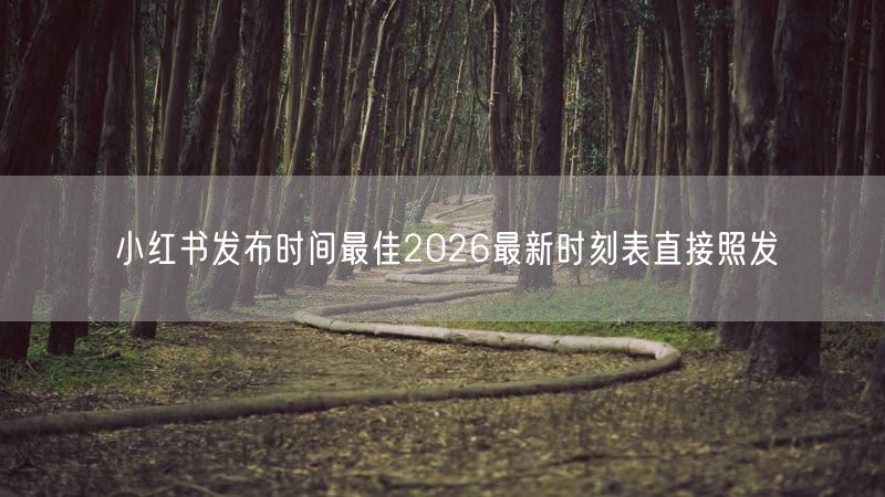 小红书发布时间最佳2026最新时刻表直接照发