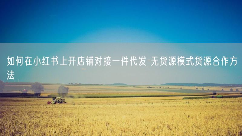 如何在小红书上开店铺对接一件代发 无货源模式货源合作方法