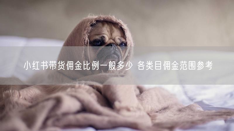 小红书带货佣金比例一般多少 各类目佣金范围参考