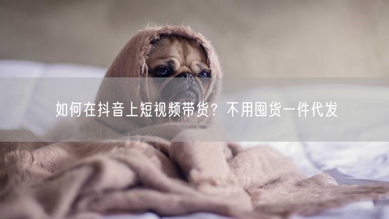 如何在抖音上短视频带货？不用囤货一件代发