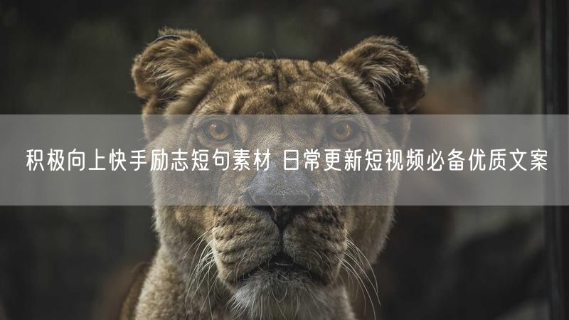 积极向上快手励志短句素材 日常更新短视频必备优质文案