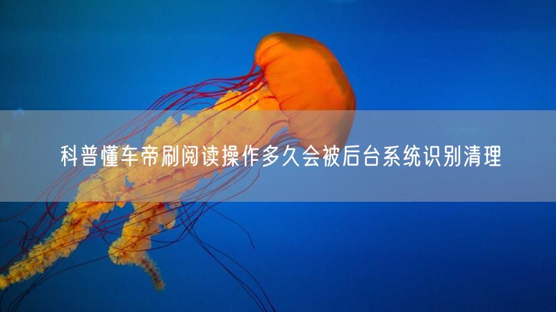 科普懂车帝刷阅读操作多久会被后台系统识别清理