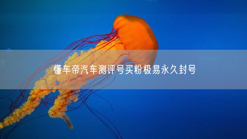 懂车帝汽车测评号买粉极易永久封号