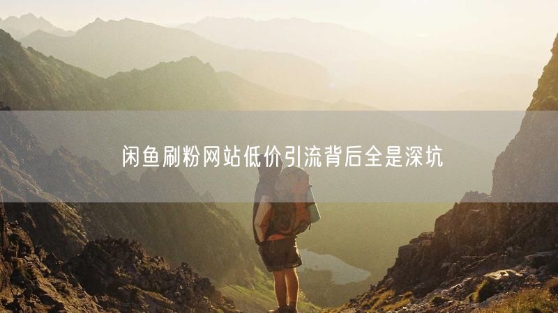 闲鱼刷粉网站低价引流背后全是深坑