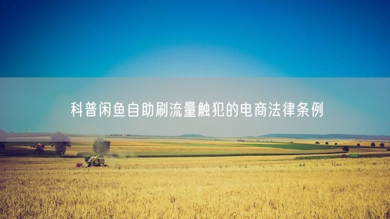 科普闲鱼自助刷流量触犯的电商法律条例